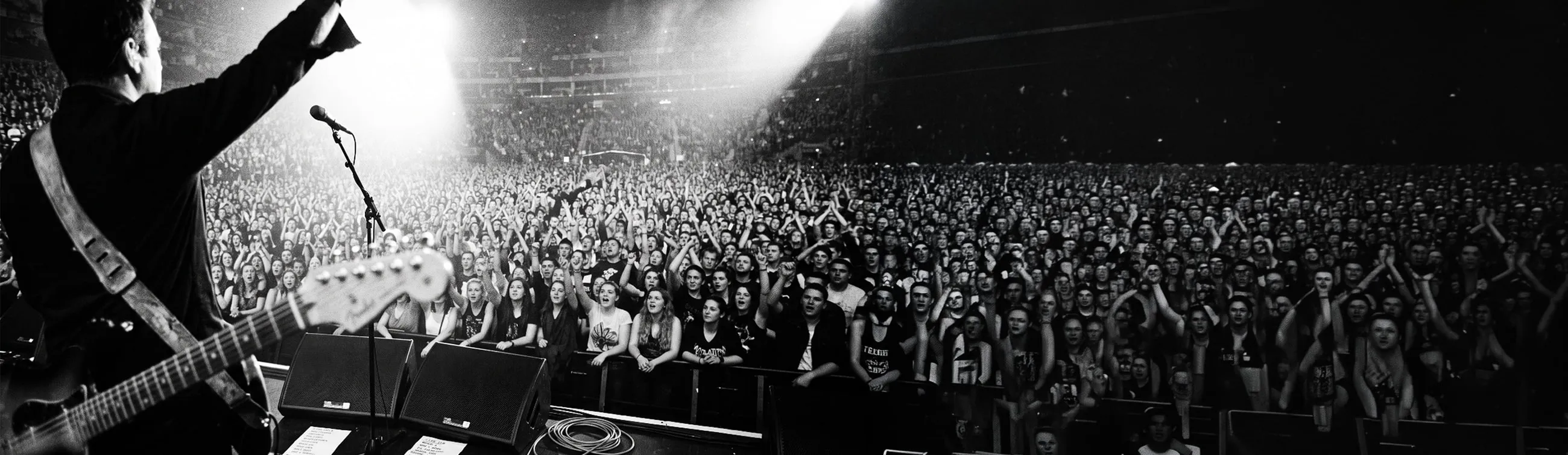 An image of a famous music artist performing to a large arena audience. It demonstrates fame and serves as a metaphor for B2B Brand Fame.