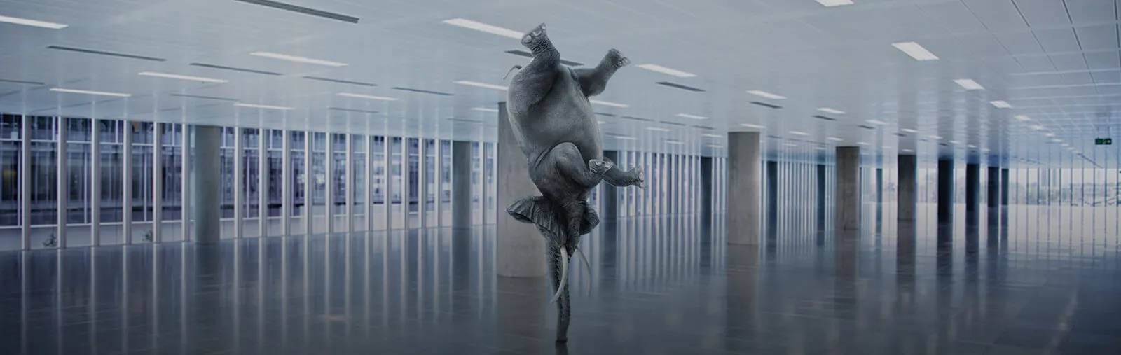THE ELEPHANT IN THE ROOM — Micro Focus