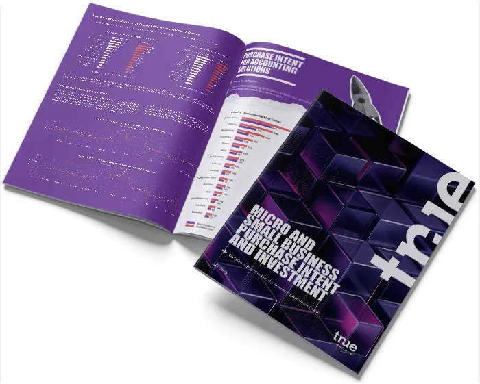 Mirco and Small Business Purchase Intent and Investment: Accounting Software category
