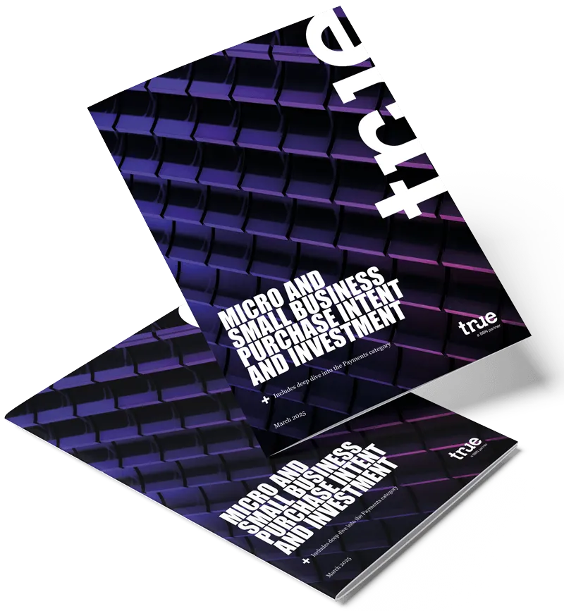 Mirco and Small Business Purchase Intent and Investment: Payments category