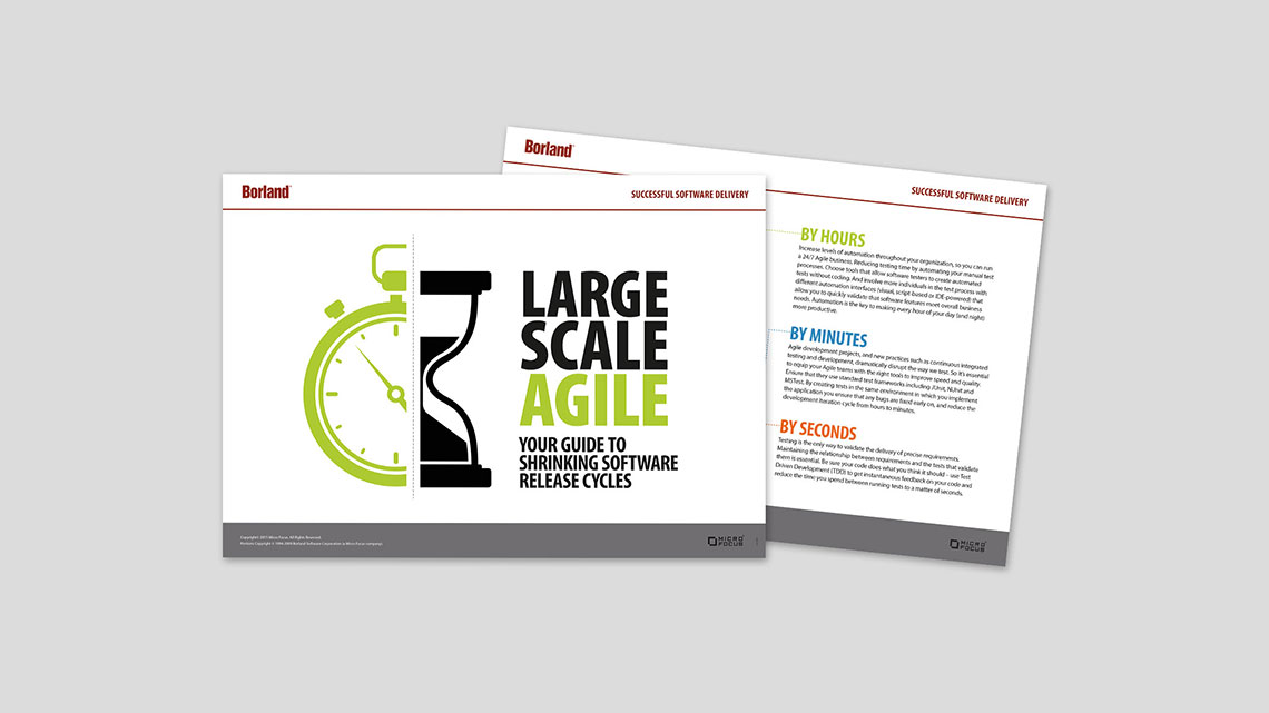 Borland case study 06 picture