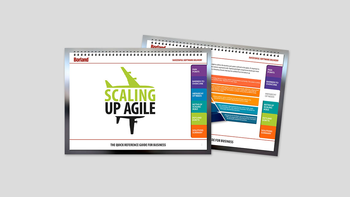 Borland case study 03 image