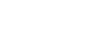 Golden Bee