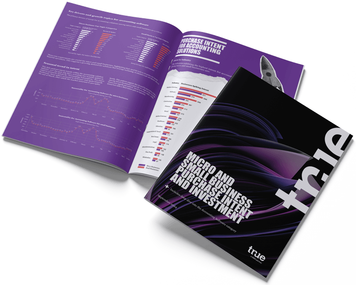 Micro and small business purchase intent and investment for the account software category